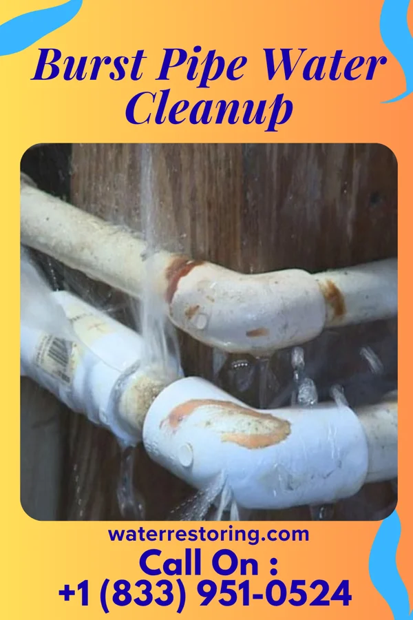 Burst Pipe Water Cleanup in Kent Narrows, MD