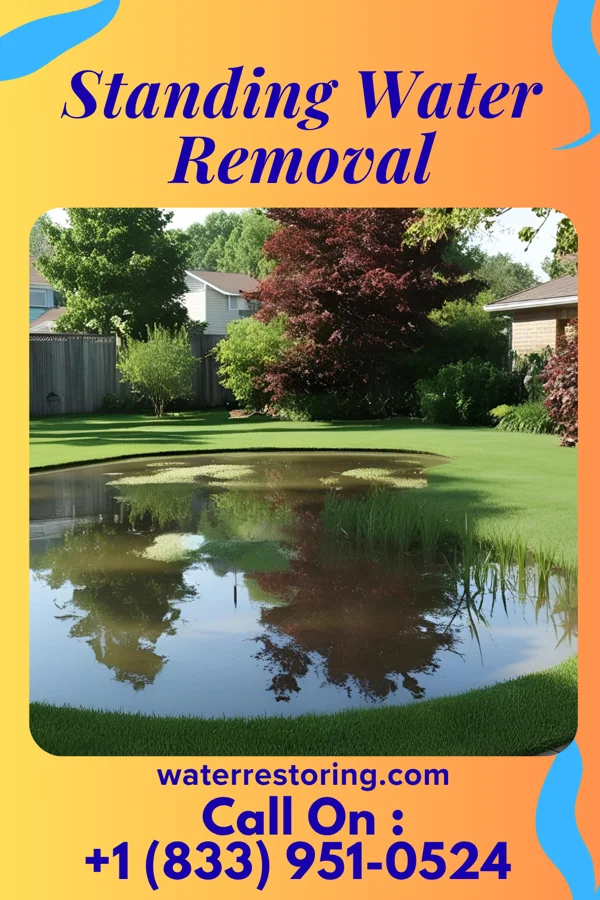Standing Water Removal in Kent Narrows, MD